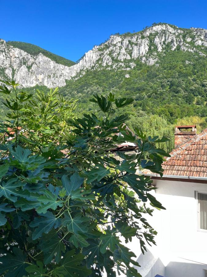 Gasthaus Vld Hotel Băile Herculane Buitenkant foto