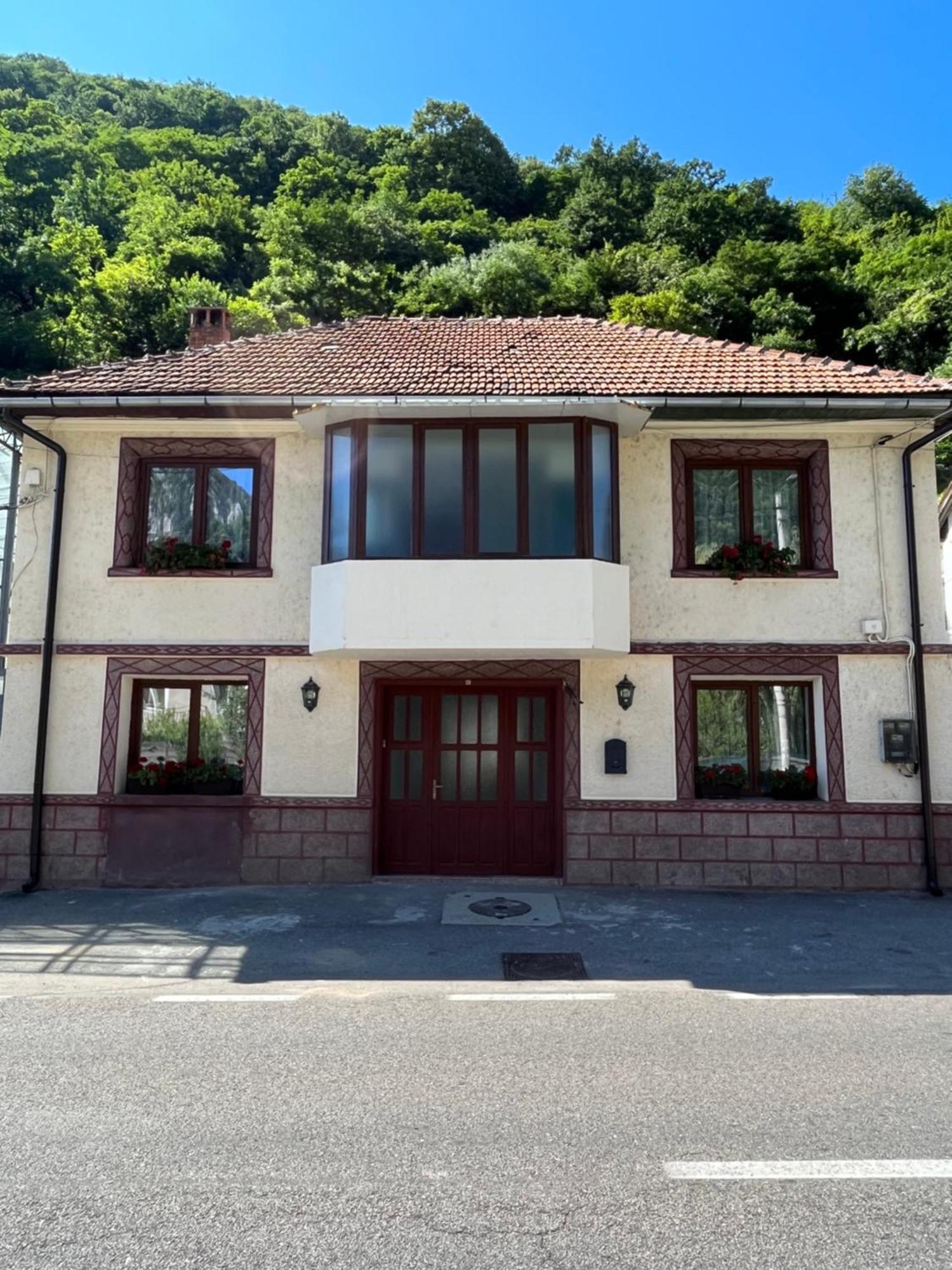 Gasthaus Vld Hotel Băile Herculane Buitenkant foto